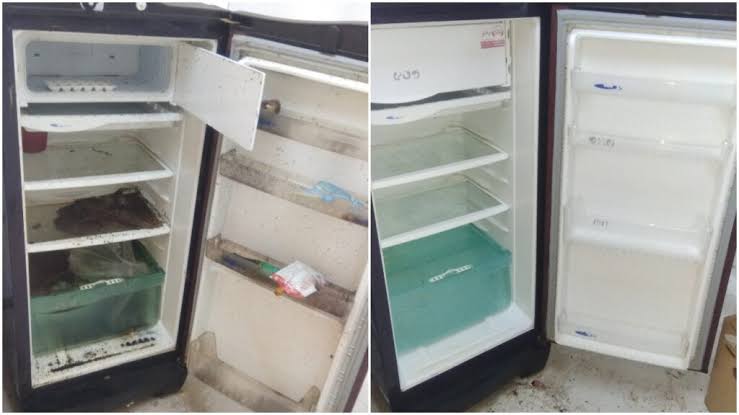 Fridge Deep Cleaning