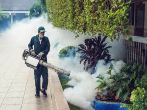 Fumigation
