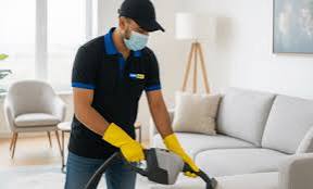 Professional Sofa Cleaning