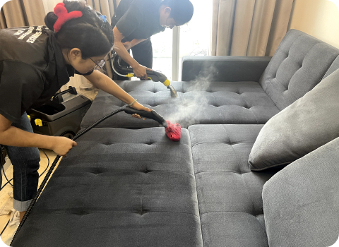 Sofa Cleaning
