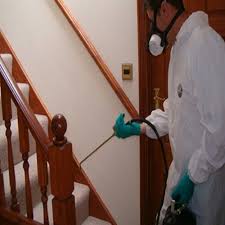 Professional Pest Control Service
