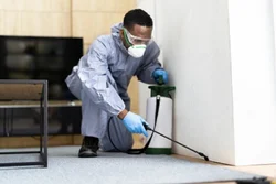 Termite Treatment Patna