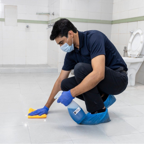 Bathroom Cleaning